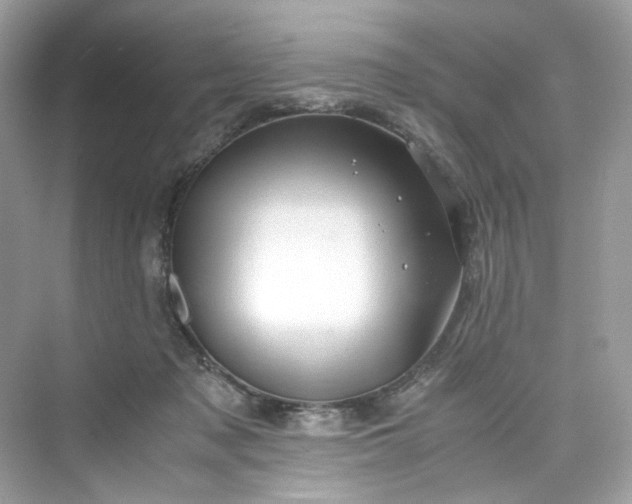 X0000075820317200609291418