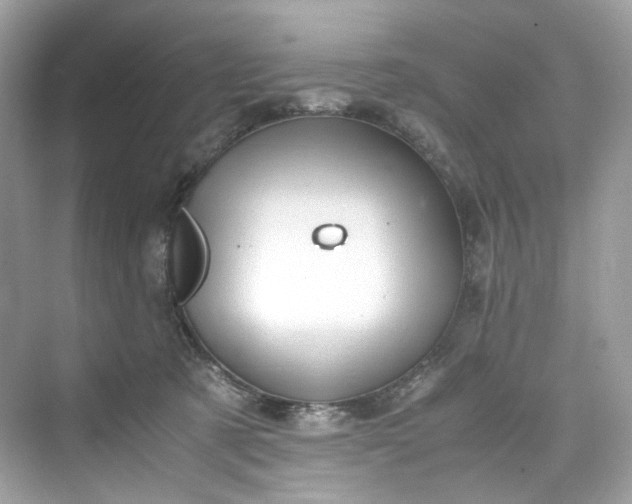 X0000075820321200609291417