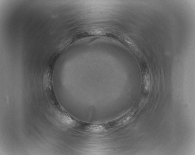 X0000075820322200609291417