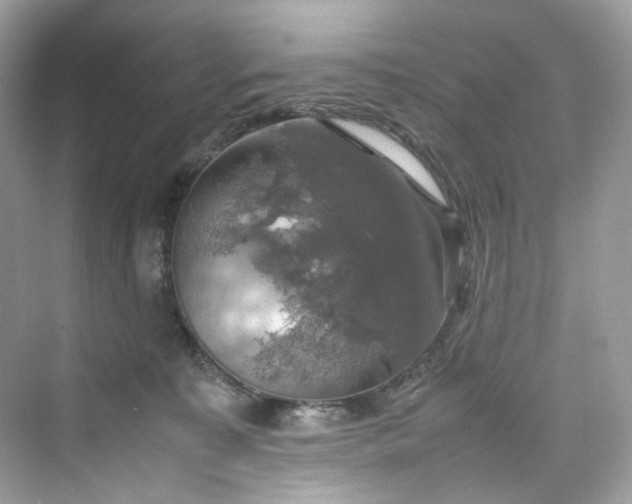 X0000075820323200609291417