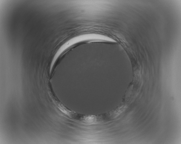 X0000075820325200609291417