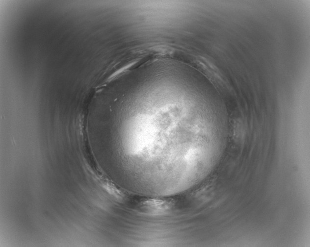 X0000075820326200609291417