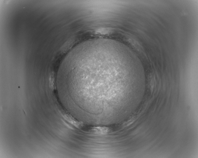 X0000075820328200609291417