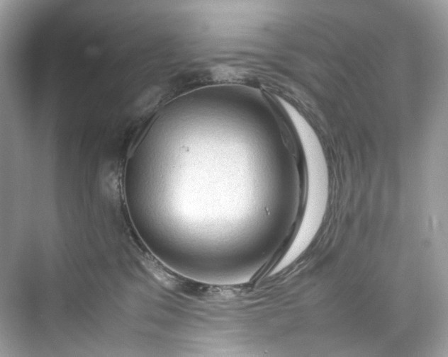 X0000075820329200609291417