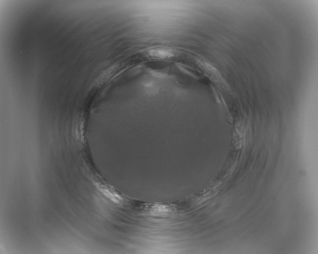 X0000075820330200609291417