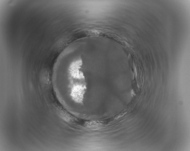 X0000075820331200609291417