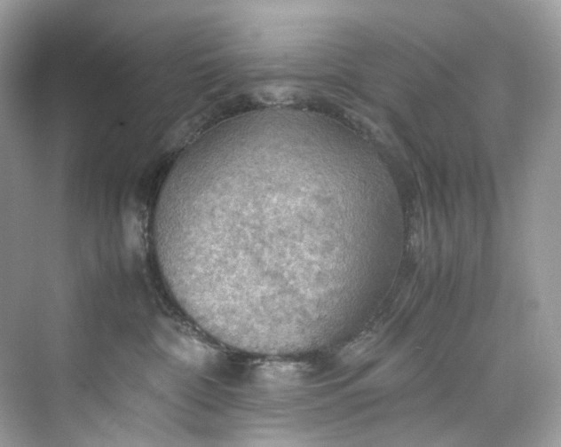 X0000075820332200609291417