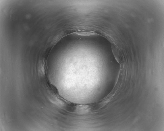 X0000075820334200609291417