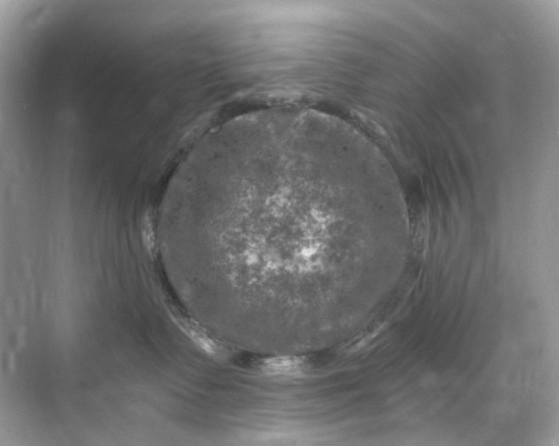 X0000075820335200609291417