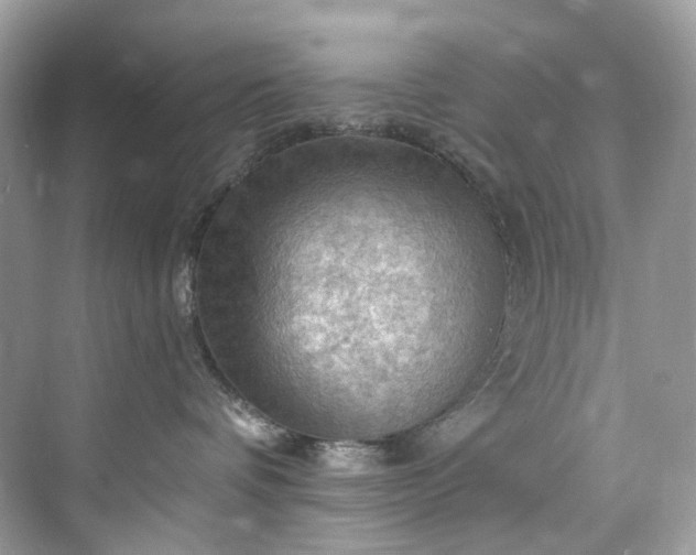 X0000075820336200609291417