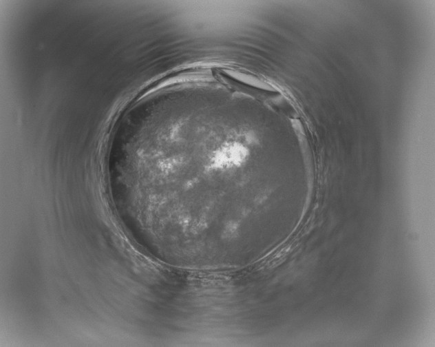 X0000075820337200609291416