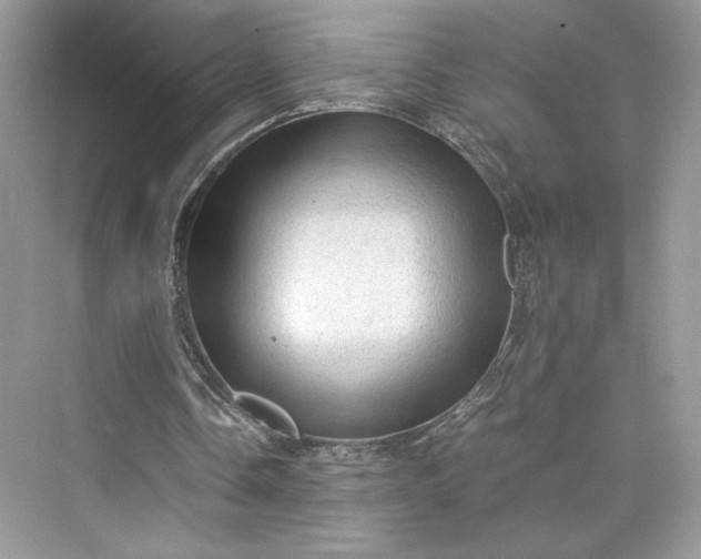 X0000075820338200609291416