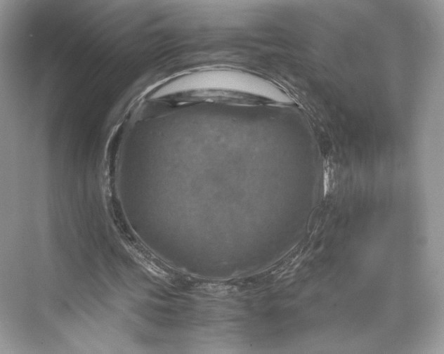 X0000075820339200609291416