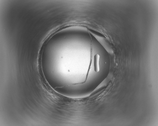 X0000075820340200609291416