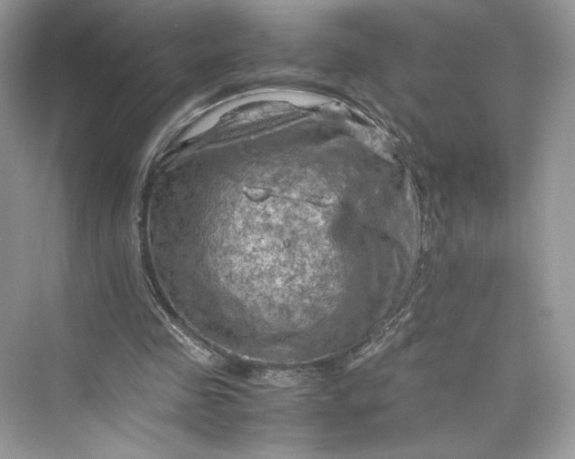 X0000075820341200609291416