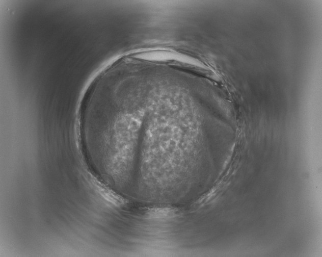 X0000075820342200609291416