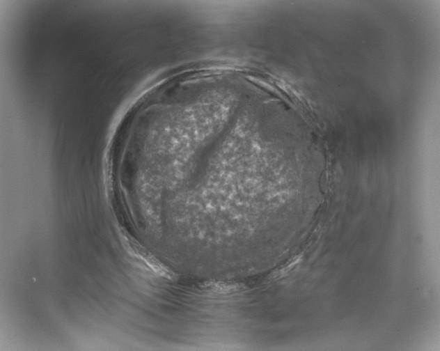 X0000075820343200609291416