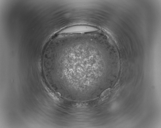 X0000075820345200609291417