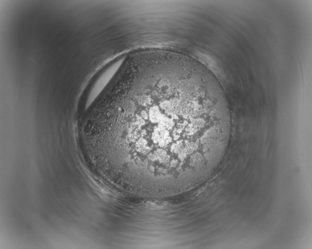 X0000075820346200609291417