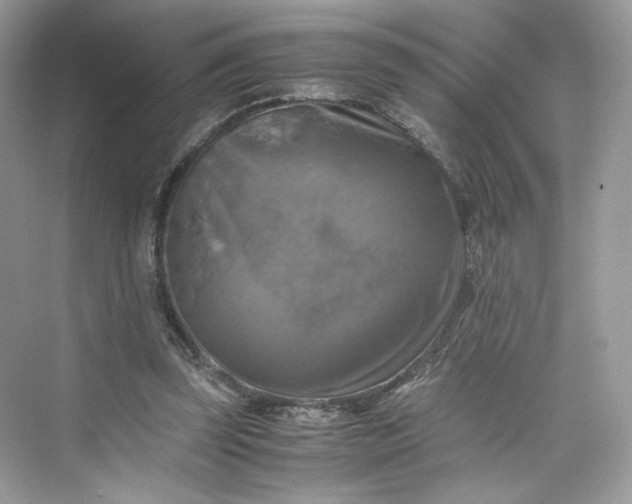 X0000075820347200609291417