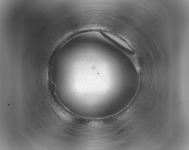 X0000075820350200609291417