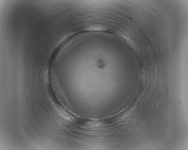 X0000075820351200609291417