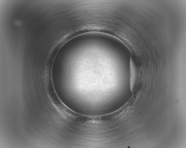 X0000075820352200609291417