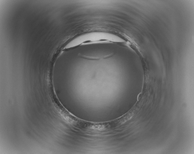 X0000075820353200609291417