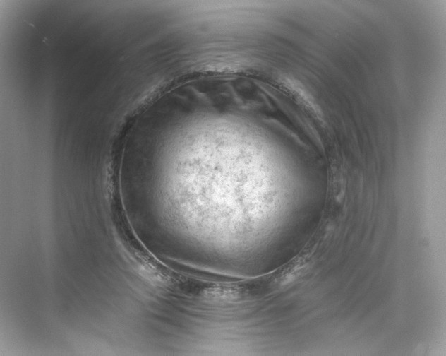 X0000075820354200609291417