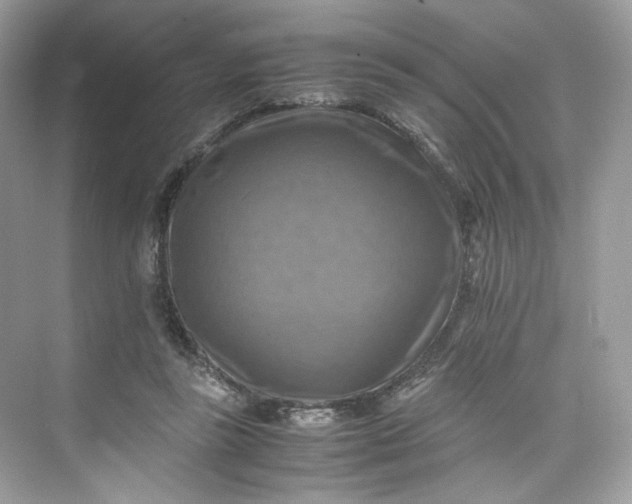 X0000075820355200609291417