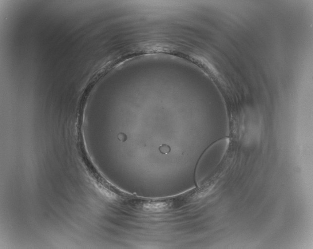 X0000075820357200609291417