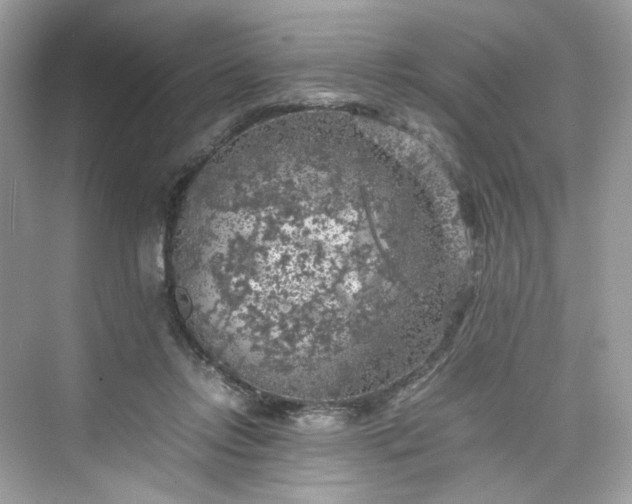 X0000075820358200609291417