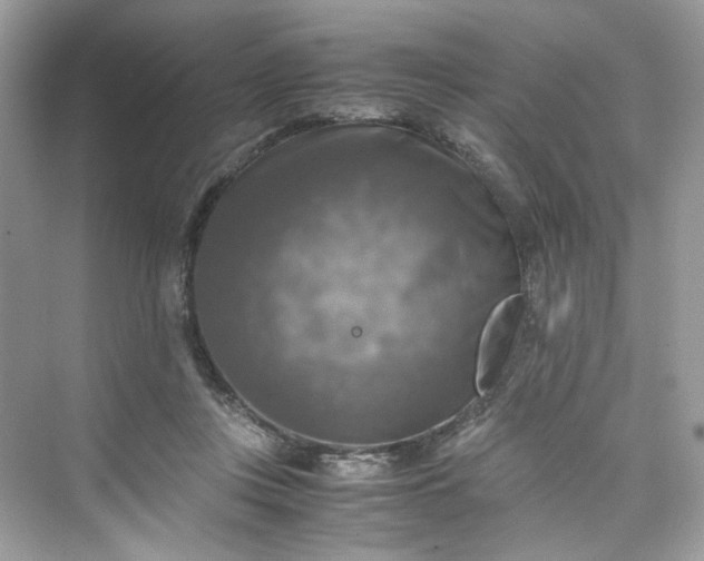 X0000075820359200609291417