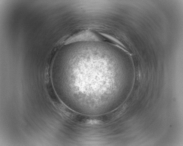 X0000075820360200609291417