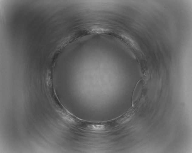 X0000075820361200609291417