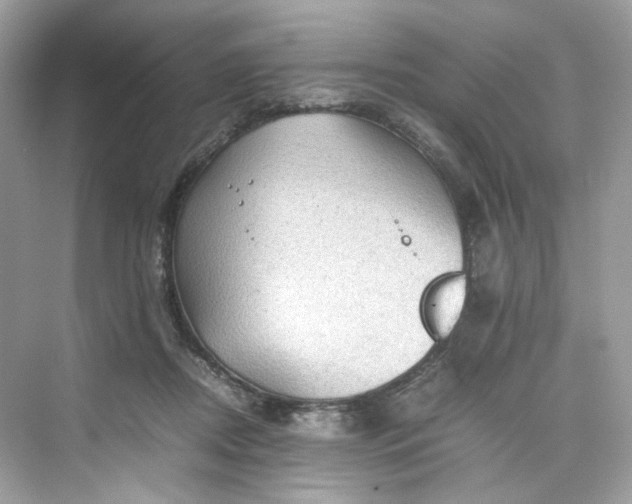 X0000075820362200609291417