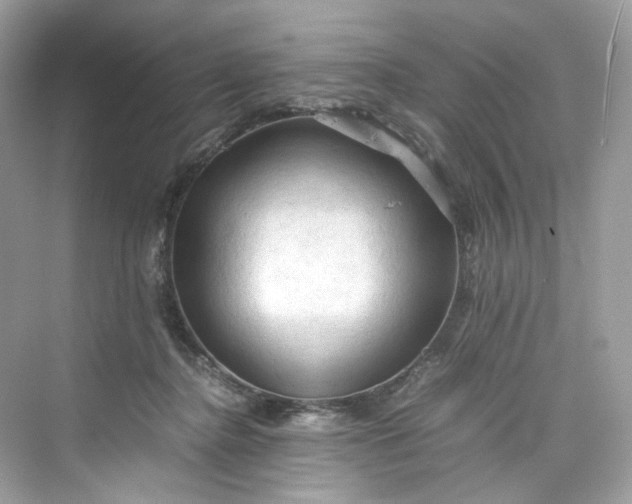 X0000075820364200609291417