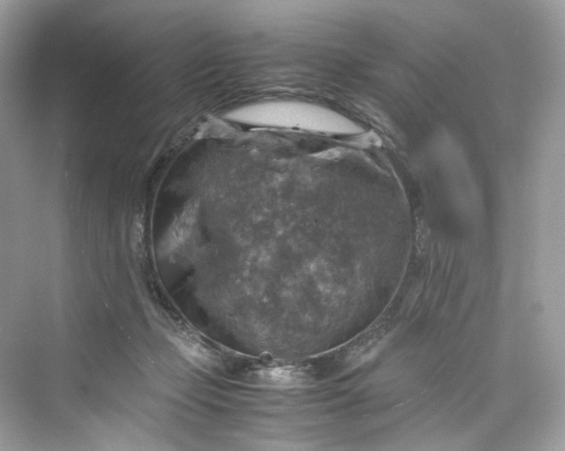 X0000075820365200609291417