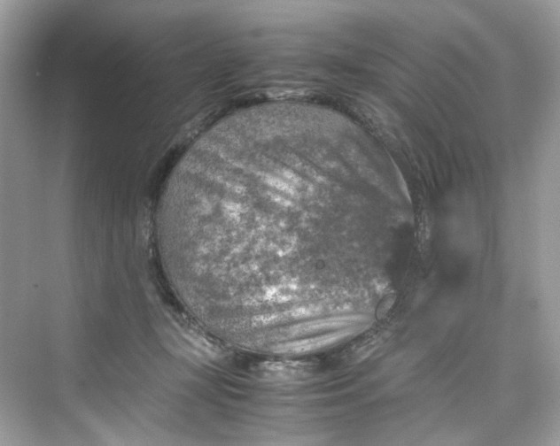 X0000075820367200609291417