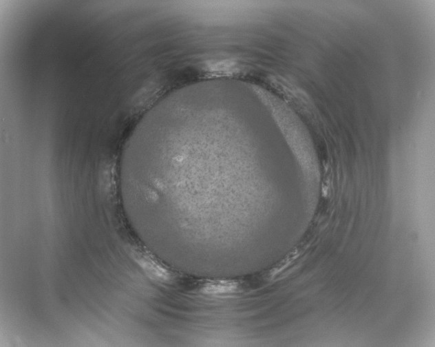 X0000075820369200609291417