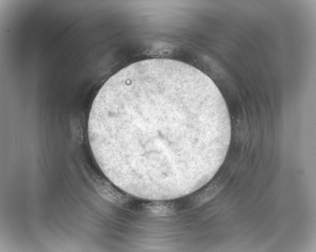 X0000075820370200609291417