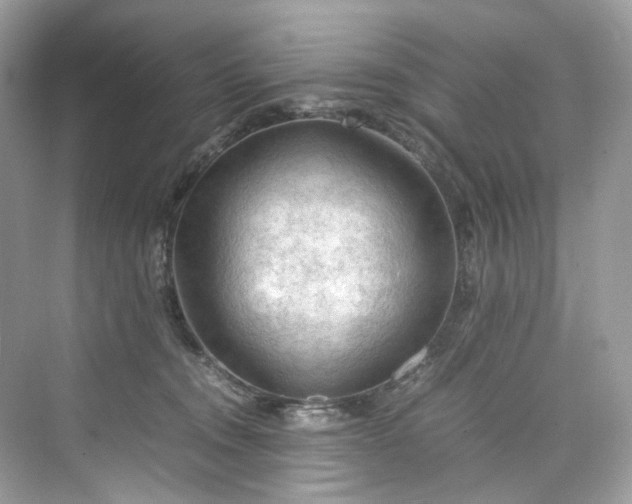 X0000075820372200609291417