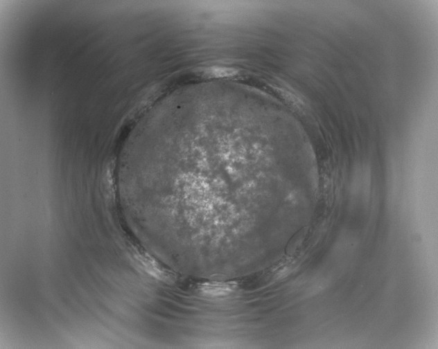 X0000075820373200609291417