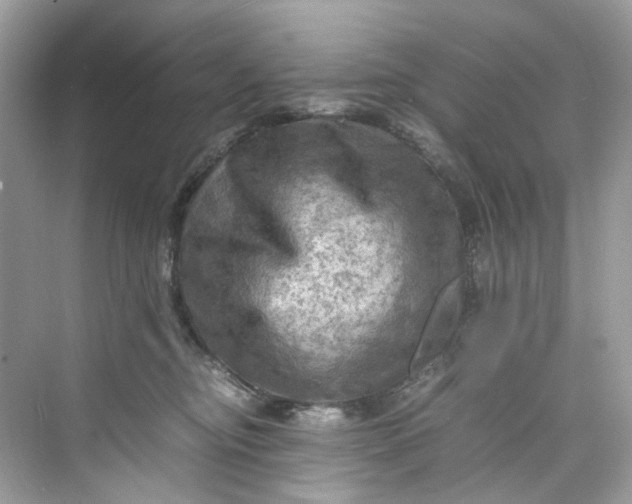 X0000075820374200609291417