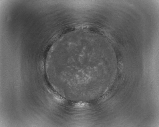 X0000075820375200609291417