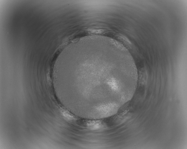 X0000075820377200609291417