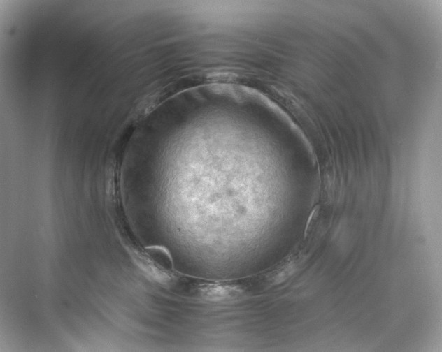 X0000075820379200609291417