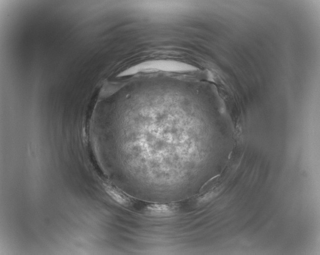 X0000075820381200609291417