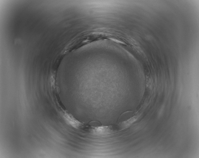 X0000075820382200609291417