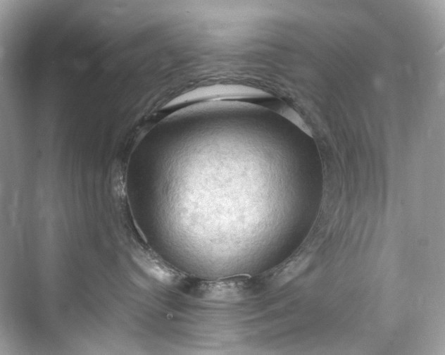 X0000075820384200609291417